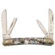 BB-516BLP SWAYBACK BLK LIP PEARL 3 7/8" [Bear N Bull • Pocket Knives]