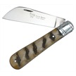 HR-5042RH H&R FOLDER RAMS HORN 4 1/8" [Hen & Rooster • Pocket Knives • Premium Knives]