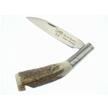 HR-5047 H&R FOLDER STAG WHISTLE 3.5" [Hen & Rooster • Pocket Knives • Premium Knives]