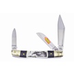 SW-112BHSB/E WRANGLER EAGLE BUFF.HORN/SB 4" [Steel Warrior • Pocket Knives • Wildlife Series]