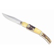 TS-129 - Trophy Stag Folder 4