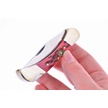 WT-547RMR - Whitetail Warrior Rocky Red